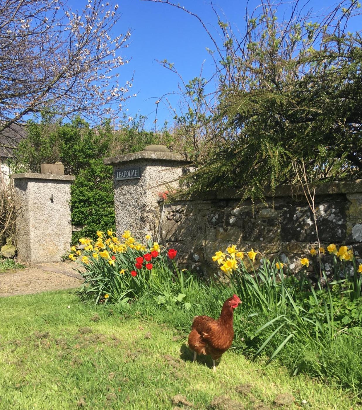 Leaholme Cottage - Fabulous Coastal Cottage For 8 Newton by the Sea Bagian luar foto